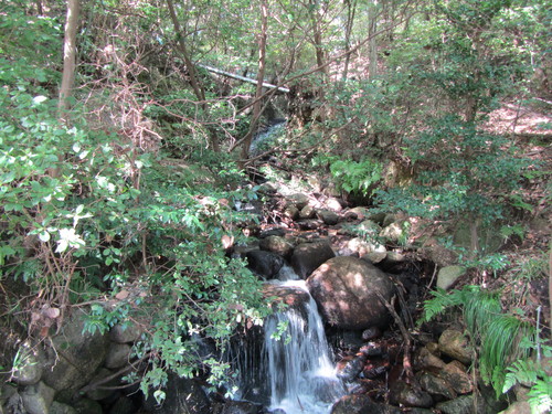 a0251786_20343667.jpg