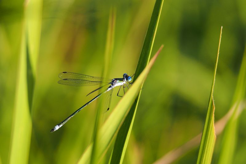 b0108186_23201525.jpg