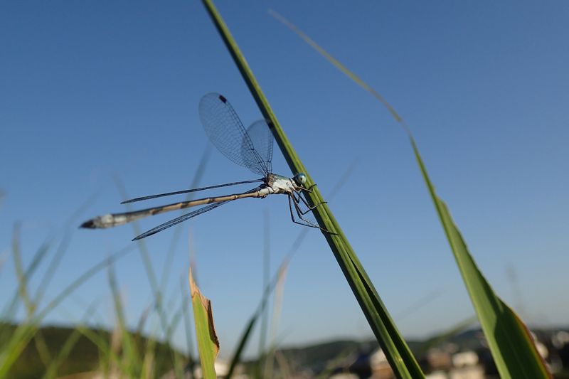 b0108186_2326147.jpg