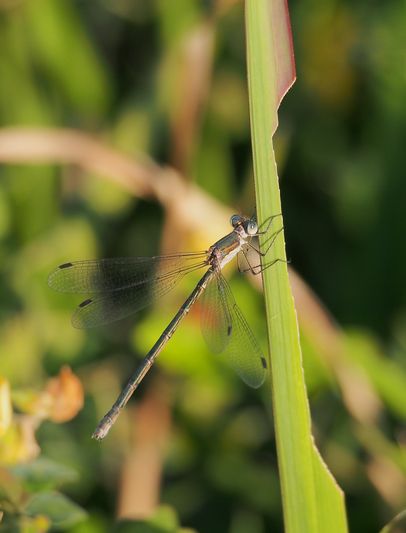 b0108186_2345487.jpg