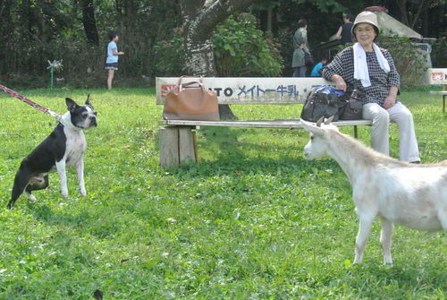 c0092787_16282661.jpg