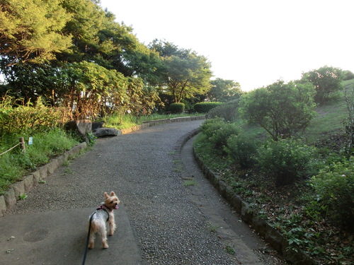 e0123587_1058633.jpg