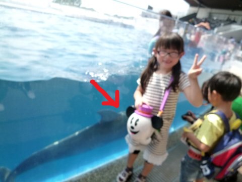 b0075888_2337812.jpg