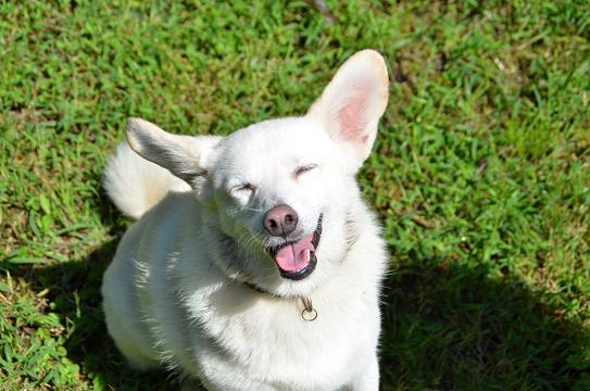 c0123890_1329899.jpg