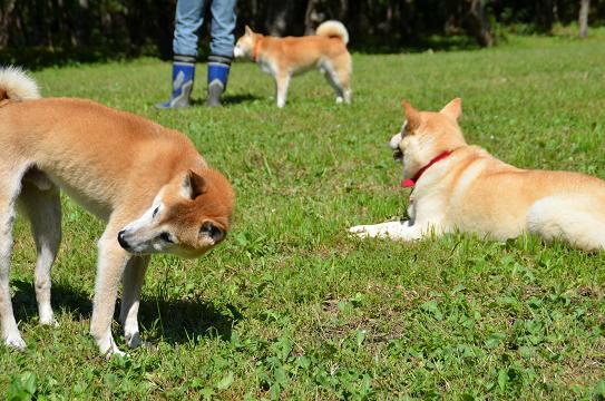 c0123890_13354050.jpg