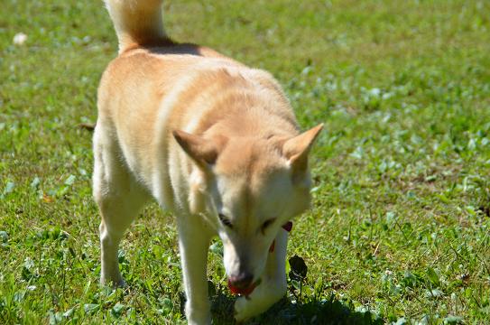 c0123890_20371839.jpg