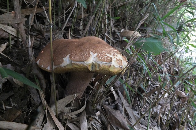 e0070891_20335218.jpg