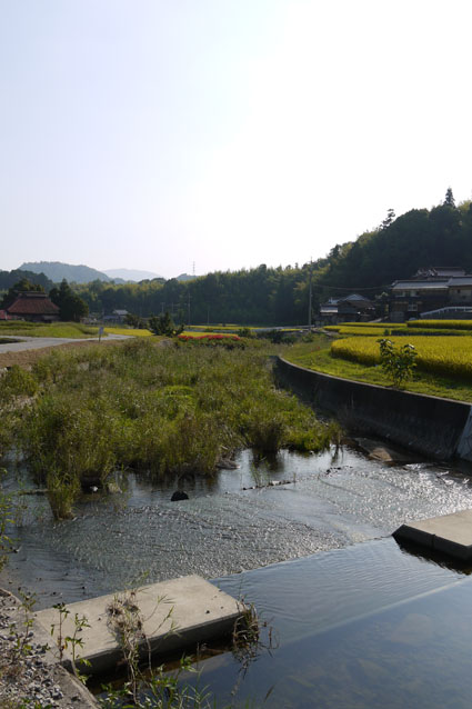 f0222692_2195594.jpg