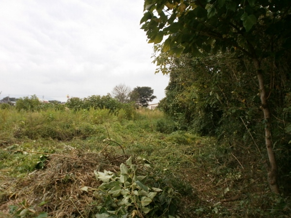 d0000995_0221437.jpg