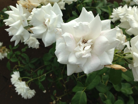 f0201297_23483581.jpg