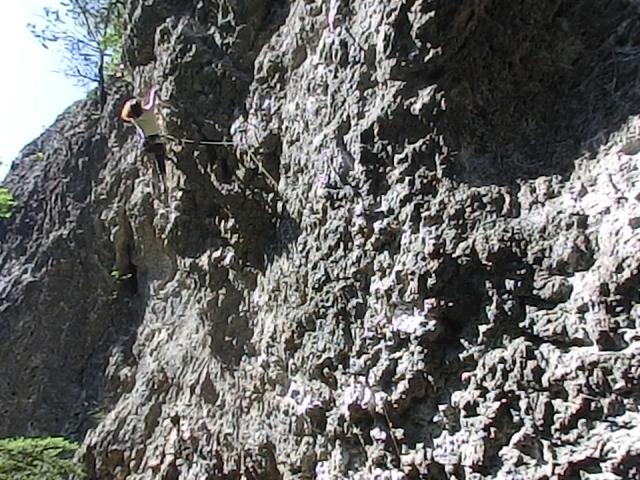 d0151699_2230566.jpg