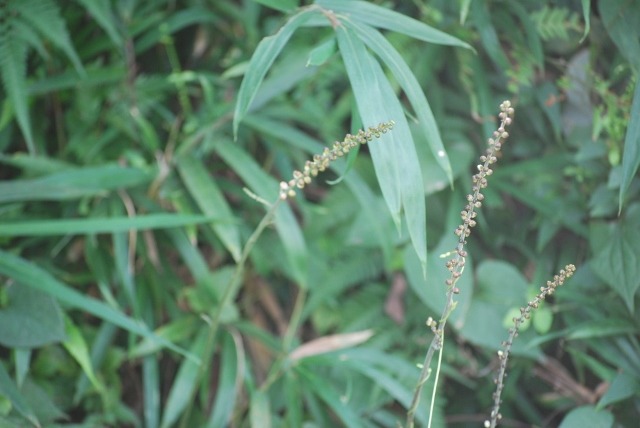 e0025300_21482210.jpg