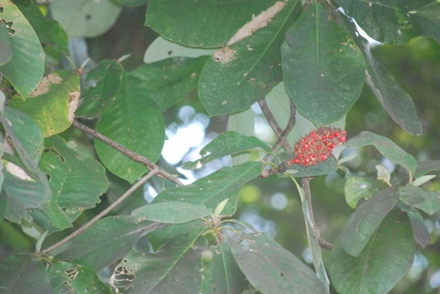 e0025300_2157946.jpg