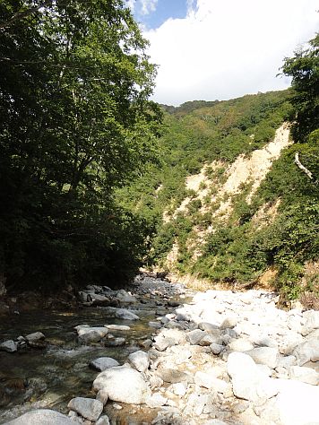 b0172805_0583971.jpg