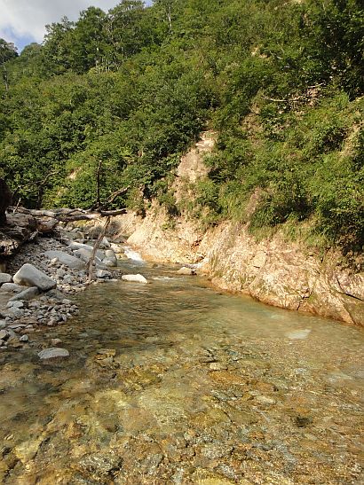 b0172805_101015.jpg
