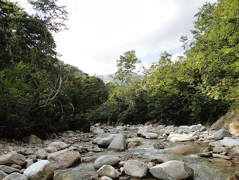 b0172805_1103846.jpg