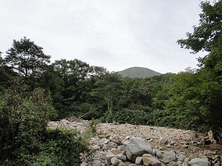 b0172805_3281887.jpg