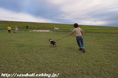 e0145805_2010534.jpg
