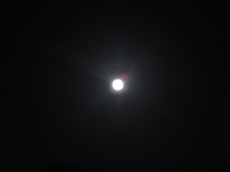 e0117613_10535097.jpg