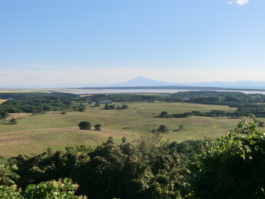 d0221319_6492960.jpg