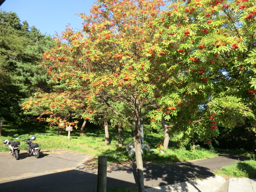 d0221319_6493980.jpg