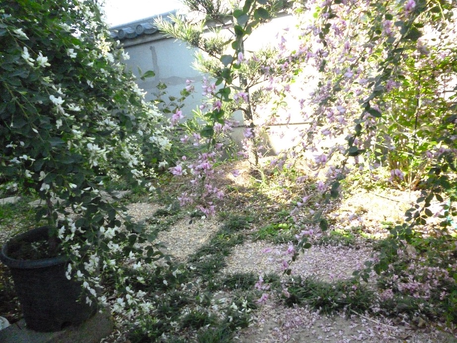 f0228619_2174591.jpg