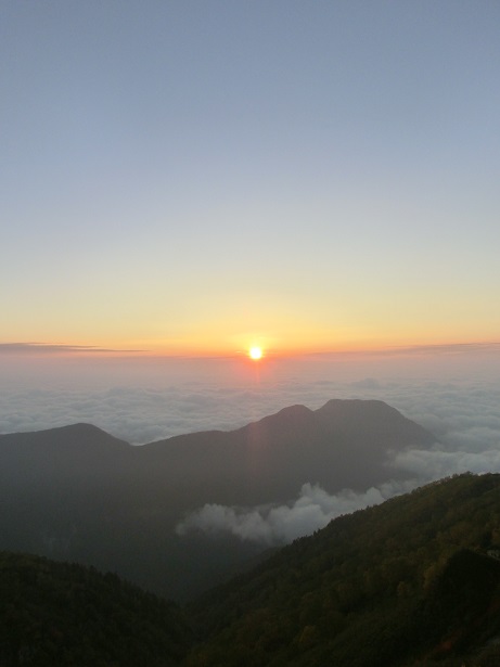a0315420_9423716.jpg