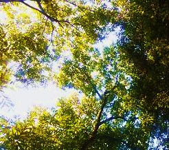 e0189225_12494426.jpg