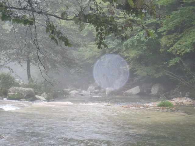d0088735_218795.jpg
