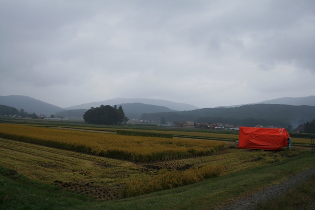 d0049138_17171377.jpg