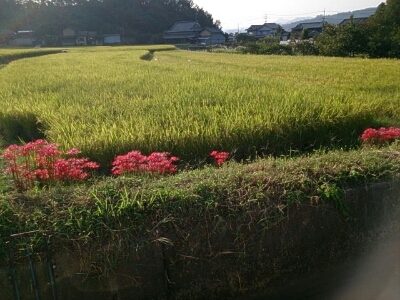 b0075541_10591249.jpg