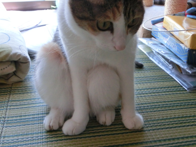 c0194042_20263148.jpg