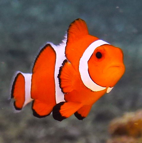 f0014842_16553768.jpg