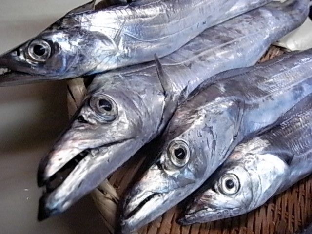 e0007544_791687.jpg