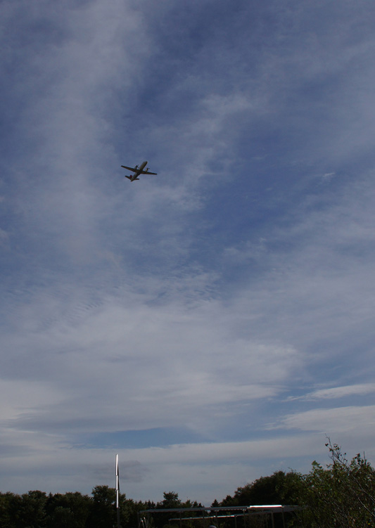 a0112747_1521524.jpg