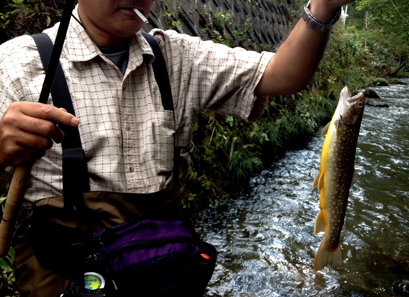c0077847_2021244.jpg