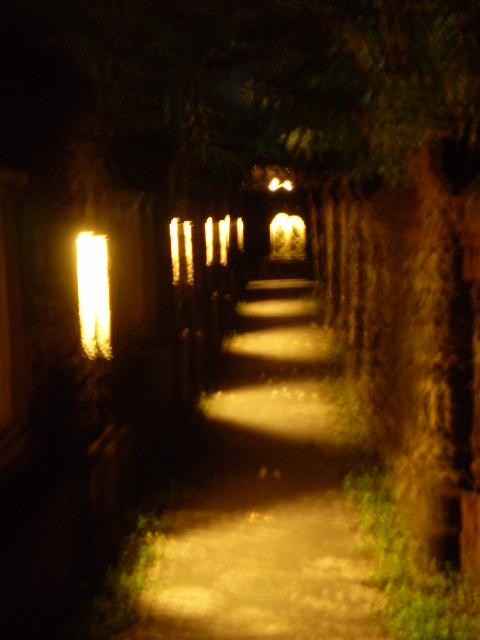 d0103548_1945566.jpg