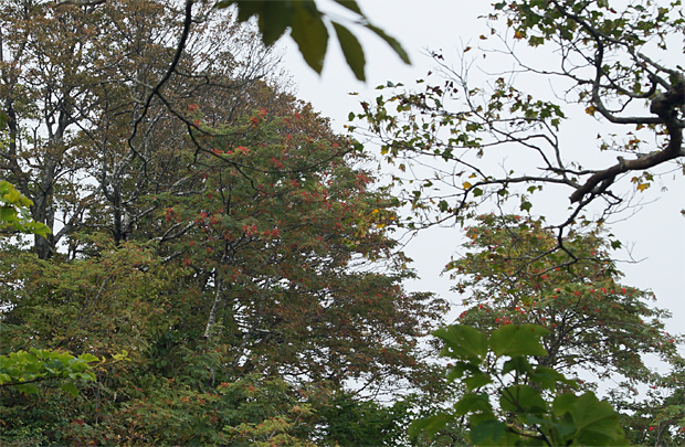 f0214649_13525011.jpg