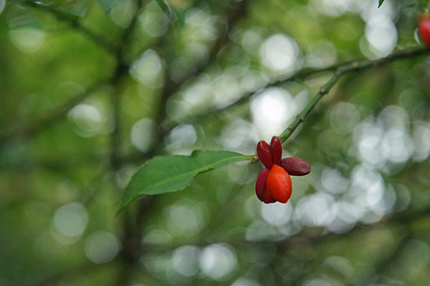 f0214649_13552218.jpg