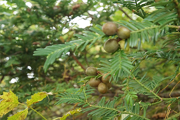 f0214649_13563962.jpg