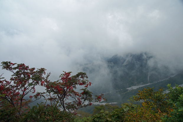 f0214649_16105293.jpg