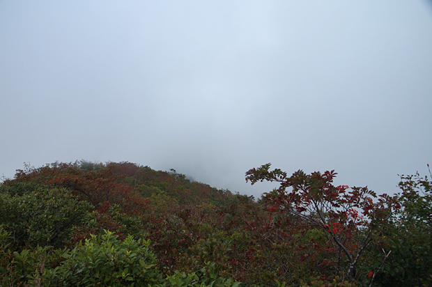 f0214649_16235330.jpg