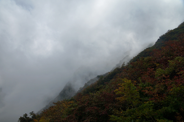 f0214649_16282436.jpg