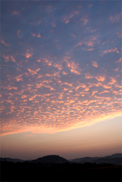 f0214649_17172058.jpg