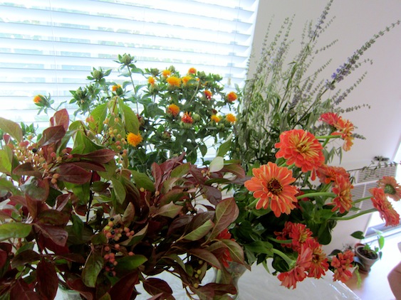 b0200852_1342340.jpg