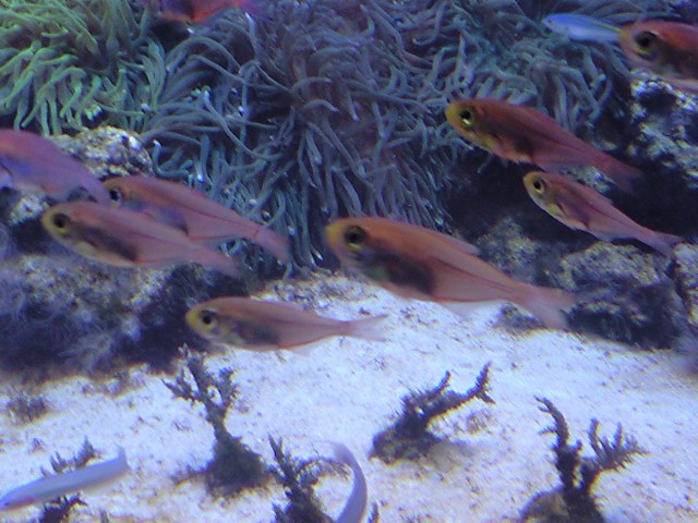 b0291460_19194983.jpg