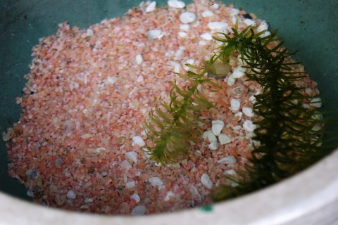 e0045768_21502987.jpg