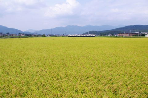e0045768_21595850.jpg