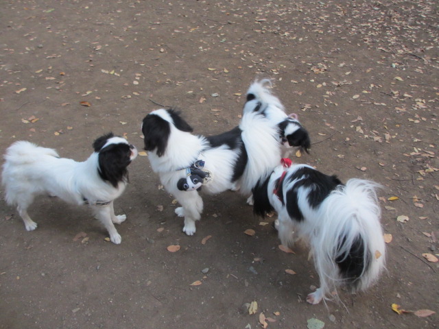 f0253568_1783727.jpg