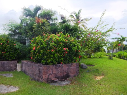 b0243169_22464654.jpg